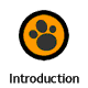 Introduction