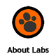 About Labs