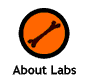 About Labs